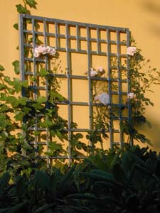 garten06